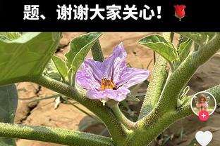 状态不错！杜兰特19中11拿下35分&第三节16分